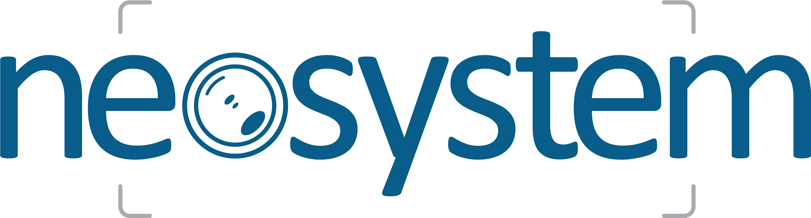 Logo NeoSystem